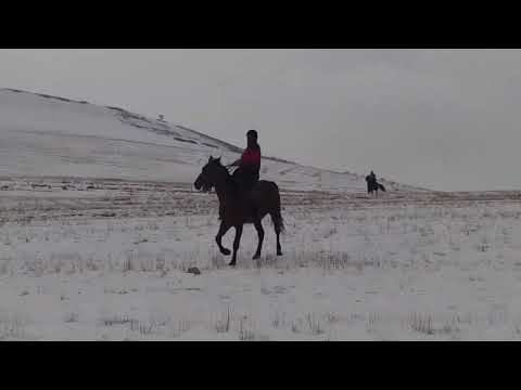 Видео: БЗИ  Д.НАВОБОД