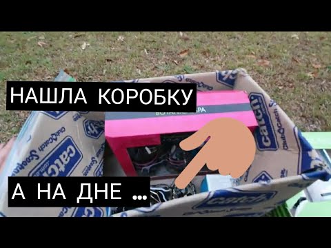 Видео: Нашла картонную коробку ! А на дне ...Золото и серебро !