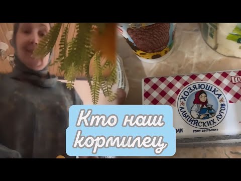 Видео: СЕГОДНЯ НАШЛИ😊 ВМЕСТЕ С АРБИ НОВЫХ ПИТОМЦЕВ🥰