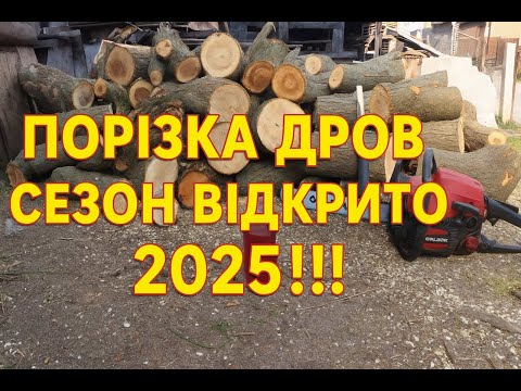 Видео: Заготівля дров на зиму!!!! Безкоштовні дрова)))  #дрова #заготівлядров