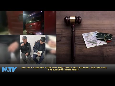 Видео: Оор жүк ташуучу унаанын айдоочусу мас болгон. Айдоочулук күбөлүктөн ажырайбы?