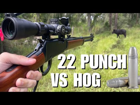 Видео: Инвазивная охота на кабана с .22 LR Federal Punch