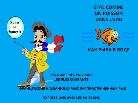 Видео: Les poissons. Vocabulaire français. Французские названия самых распространенных рыб.