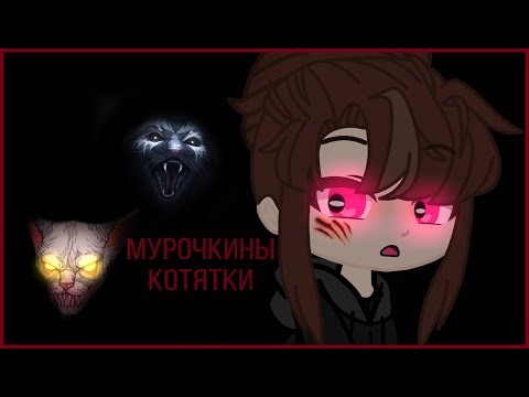Видео: мурочкины котятки ⊹──⊱страшилка гача лайф/клуб⊰──⊹