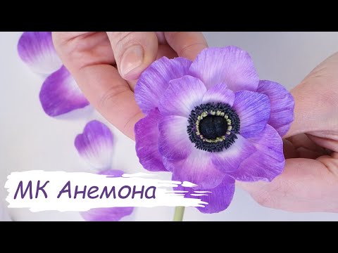 Видео: Анемона из полимерной глины (холодного фарфора)