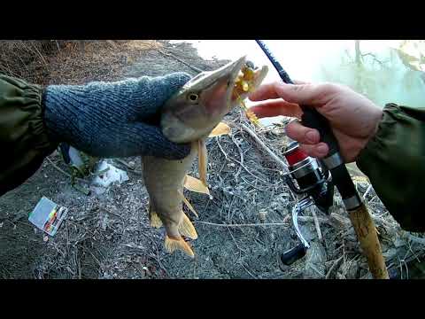 Видео: Рыбалка на спининнг, р  Угрюмка, г  Новосибирск