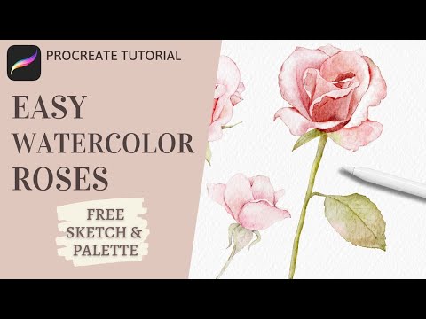 Видео: Как рисовать акварельные розы в Procreate | Урок по реалистичной акварельной флористике в Procreate
