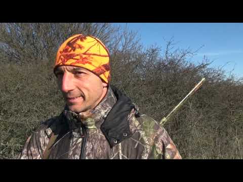Видео: ГРУПОВ ЛОВ НА ХИЩНИЦИ В ЛЕЯРОВО ЯМБОЛ 2020г.
