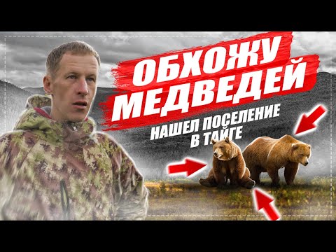 Видео: ВСТРЕЧА С БАНДОЙ МЕДВЕДЕЙ | ТУВИНСКИЕ ИЗБЫ