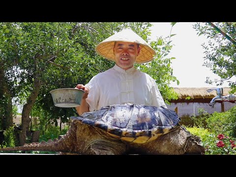 Видео: Дядя Рурал снимает черепаху и курицу и делает "Прощай, моя наложница" ｜ Дядя Рурал Гурман