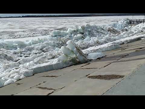 Видео: Обь. 13.05.24. Хорошая подвижка была 12.05