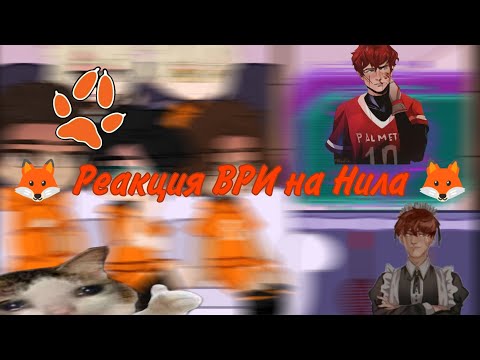 Видео: 🦊 — Пробная реакция ВРИ на Нила — 🦊