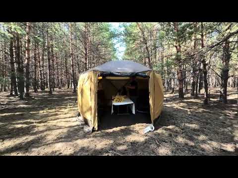 Видео: 15 февраля 2024 г.