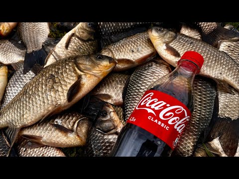 Видео: Карась на CocaCola в ДЕБРЯХ КАМЫША! Рыбалка на удочку. Поплавок КРУПНЫМ планом!