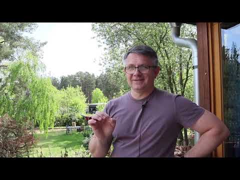 Видео: Замена водительских прав в Германии (кат. В)