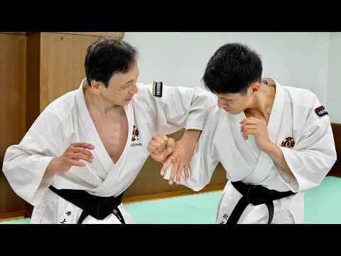 Видео: Атака противника превращается в вашу атаку! Потрясающее искусство "Сёриндзи Кемпо"!