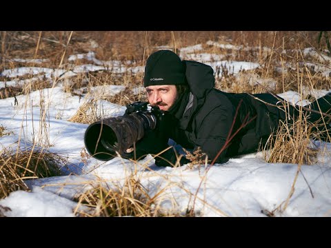 Видео: Обзор Sony a1 для съёмки птиц: мой практический опыт работы с Alpha 1