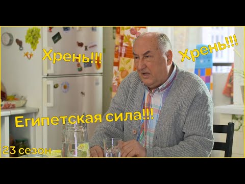 Видео: Воронины "Хрень" и "Египетская сила"|23 сезон!