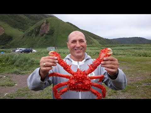 Видео: Мне нужен автодом #4 - КАМАЗ или УРАЛ - сравнение