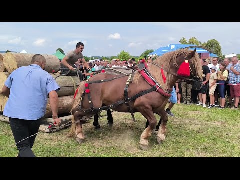 Видео: ДРУГИЙ ДЕНЬ ЗМАГАНЬ - ПАРОКІННІ/ВИСТАВКА -ЗМАГАННЯ ОГИР ФЕСТ С. СМОДНА./МАШТАБНІ КІННІ ЗМАГАННЯ 