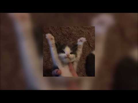 Видео: дора - втюрилась 1 час