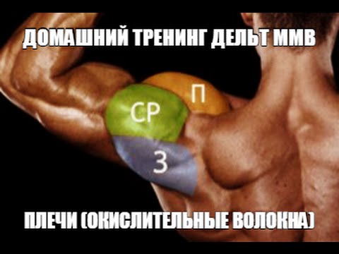 Видео: Тренинг ДЕЛЬТ ММВ (окислительные волокна) от HeavyMetalGYM
