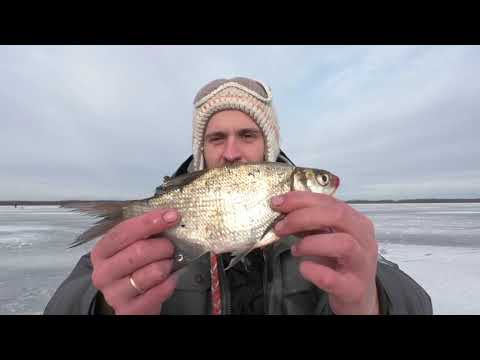 Видео: Озеро Освейское, закрываем сезон