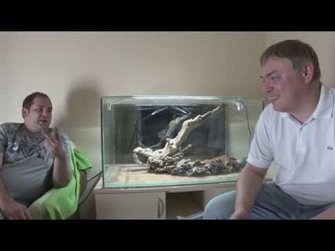 Видео: Запуск аквариума 300 л. с живыми растениями