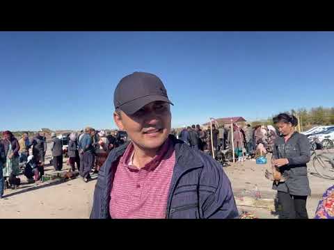 Видео: 12-ОКТЯБР/2025/ШЫМБАЙ ТАУЫК БАЗАРЫ/ДЕМ БЕРМЕС ТАУЫК БАЗАР