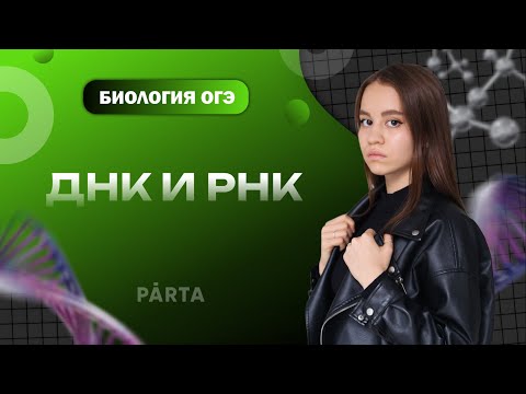 Видео: ДНК и РНК, особенности и различия | БИОЛОГИЯ | PARTA ОГЭ 2023