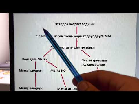 Видео: Механизм подсадки матки ио разными способами. И что происходит.