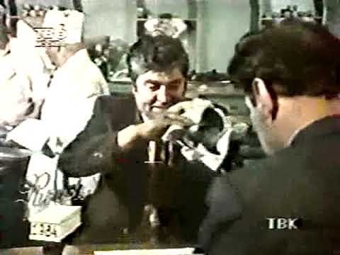 Видео: Фитиль 271