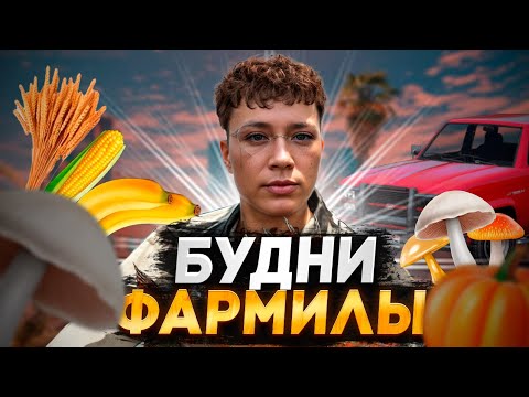 Видео: БУДНИ ФАРМИЛЫ SUREO в GTA 5 RP MAJESTIC