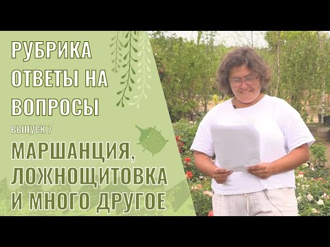 Видео: Ответы на вопросы выпуск 7