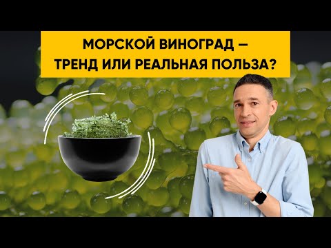 Видео: МОРСКОЙ ВИНОГРАД — ПРОСТО МОДА ИЛИ РЕАЛЬНАЯ ПОЛЬЗА?