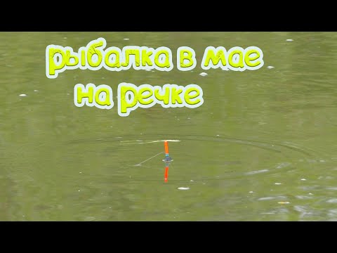 Видео: Рыбалка в мае на речке