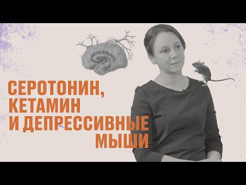 Видео: Нейробиология депрессии