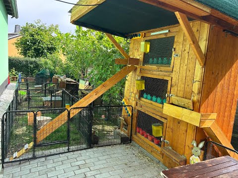 Видео: Мой вольер для кроликов и клетки Часть 1