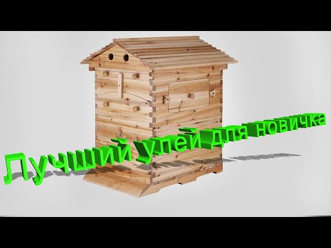 Видео: Профессор Кашковский: Какой улей лучше для новичка?