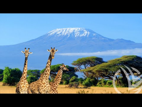 Видео: Танзания и Кения - Tanzania & Kenia. Обзор: популярные достопримечательности, города, курорты, пляжи