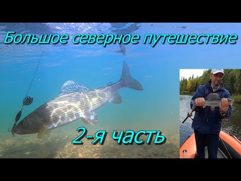 Видео: Большое северное путешествие в Коми 2 часть