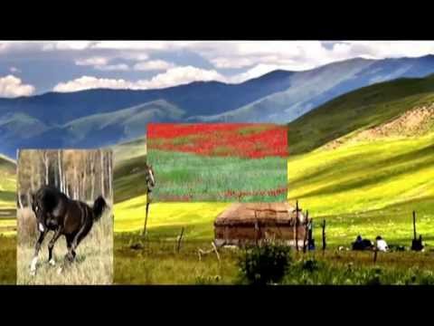 Видео: ВИКТОР ДАВИДЗОН. СТЕПЬ.