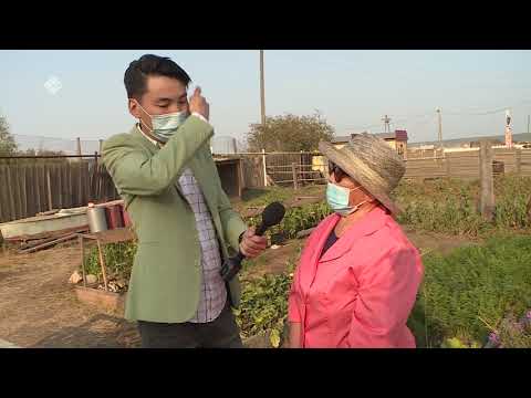 Видео: Тиэргэн (08.09.2020)