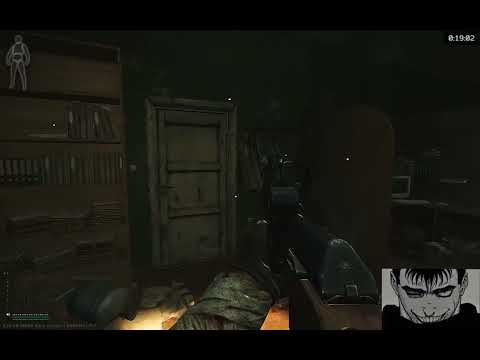 Видео: СУМАСШЕДШИЕ КВЕСТЫ // EFT💜