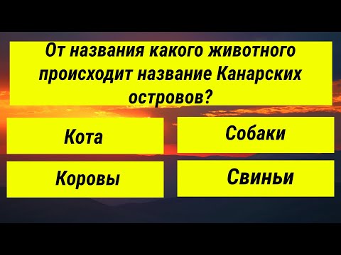 Видео: Из 30 вопросов — сколько вы сможете ответить? Тест на эрудицию!