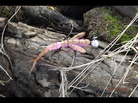 Видео: Силиконовая приманка Fishup Flit 1,5" - первая рыбалка и первые впечатления.
