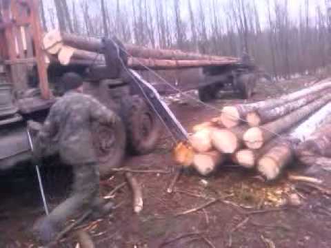 Видео: Погрузка хлыстовоза