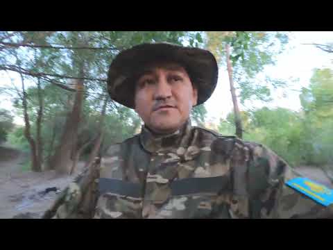 Видео: 17 августа 2025 года, Илек, одиночная рыбалка, БОЛЬШОЙ ГОЛАВЛЬ!!!