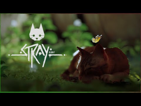 Видео: КОШАЧИЙ КИБЕРПАНК ОБЗОР ИГРЫ STRAY