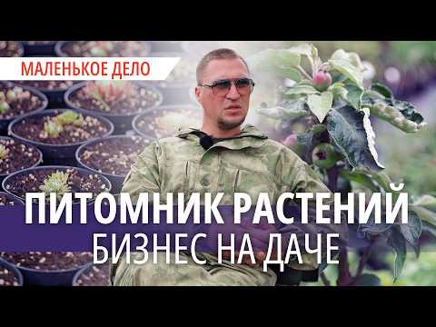 Видео: «Корни, деньги, тысячи стволов». Как построить бизнес на растениях
